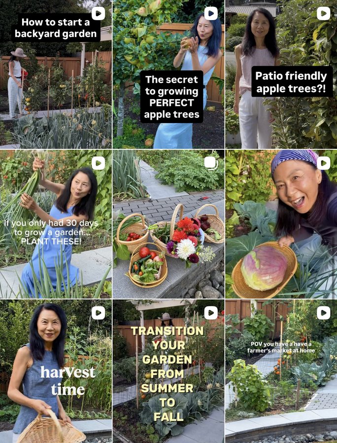 Janney Gardens Instagram profile grid